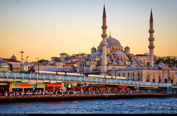 Turkey Turkey