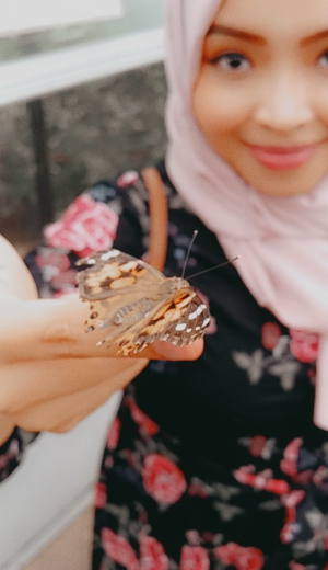 Abeer Shirbini Abeer Shirbini