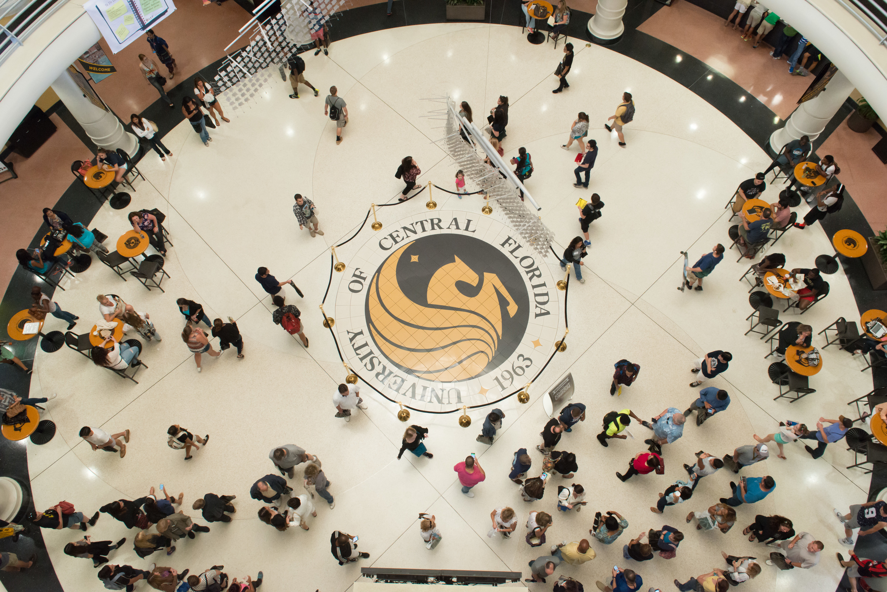 ucf_85544642_preview_cropped