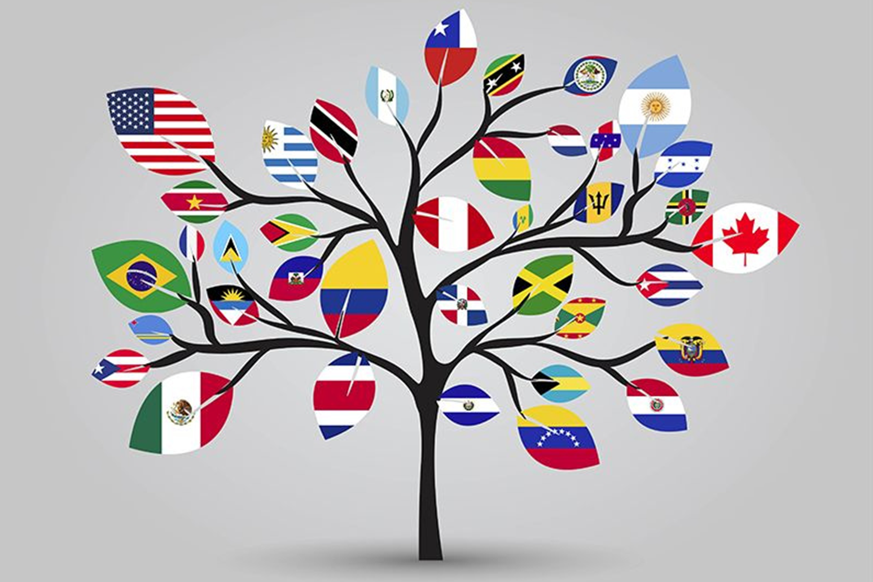 a tree with flags of different countries