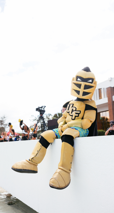 Knightro Sitting on a wall at Spirit Splash Knightro Sitting on a wall at Spirit Splash